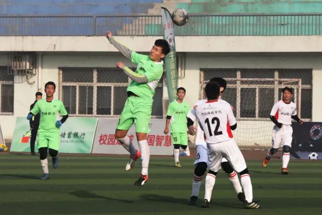 日本回应普京登岛引发强烈抗议，普京称日本应负全责
